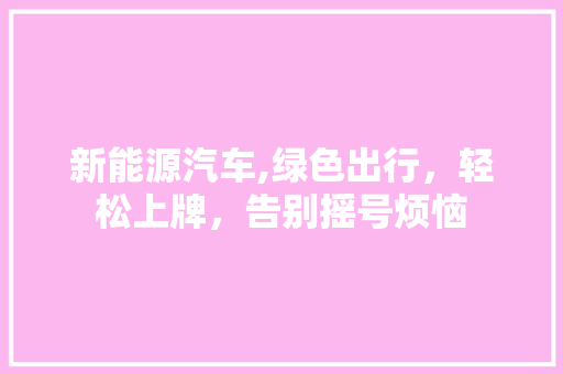 新能源汽车,绿色出行，轻松上牌，告别摇号烦恼  第1张