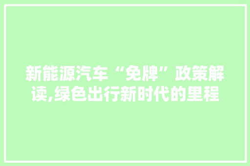 新能源汽车“免牌”政策解读,绿色出行新时代的里程碑  第1张