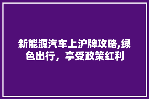 新能源汽车上沪牌攻略,绿色出行，享受政策红利  第1张