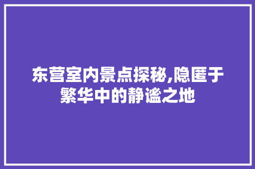 东营室内景点探秘,隐匿于繁华中的静谧之地  第1张