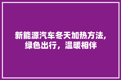 新能源汽车冬天加热方法,绿色出行，温暖相伴