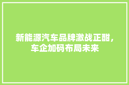 新能源汽车品牌激战正酣，车企加码布局未来  第1张
