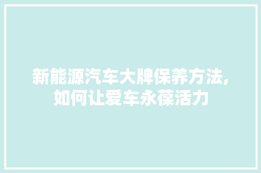 新能源汽车大牌保养方法,如何让爱车永葆活力  第1张