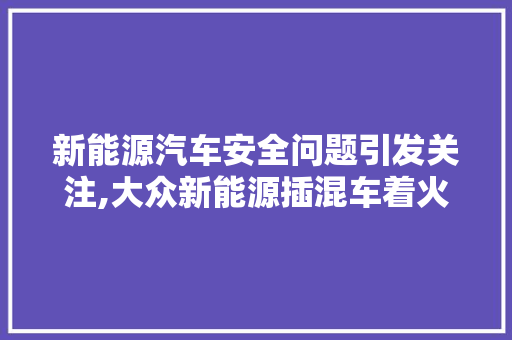 新能源汽车安全问题引发关注,大众新能源插混车着火事件警示  第1张