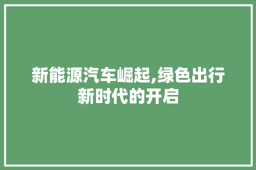 新能源汽车崛起,绿色出行新时代的开启  第1张