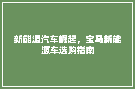 新能源汽车崛起，宝马新能源车选购指南  第1张
