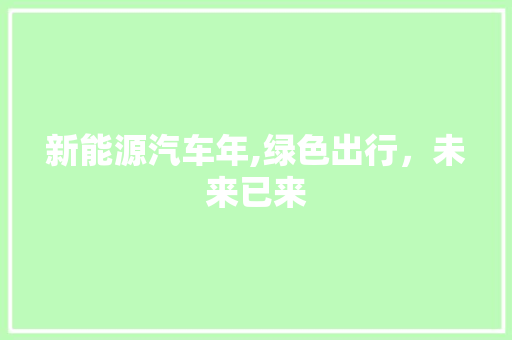 新能源汽车年,绿色出行，未来已来  第1张