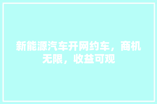 新能源汽车开网约车，商机无限，收益可观  第1张