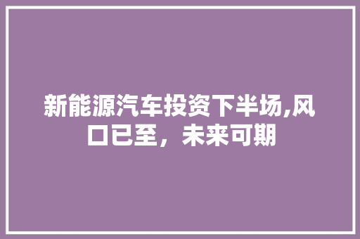 新能源汽车投资下半场,风口已至，未来可期  第1张