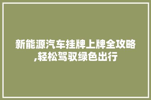 新能源汽车挂牌上牌全攻略,轻松驾驭绿色出行  第1张