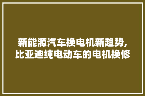 新能源汽车换电机新趋势,比亚迪纯电动车的电机换修之路  第1张