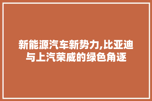 新能源汽车新势力,比亚迪与上汽荣威的绿色角逐  第1张