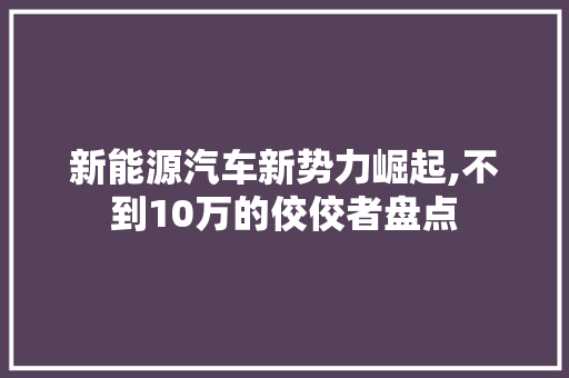 新能源汽车新势力崛起,不到10万的佼佼者盘点  第1张