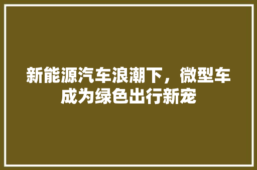 新能源汽车浪潮下，微型车成为绿色出行新宠  第1张