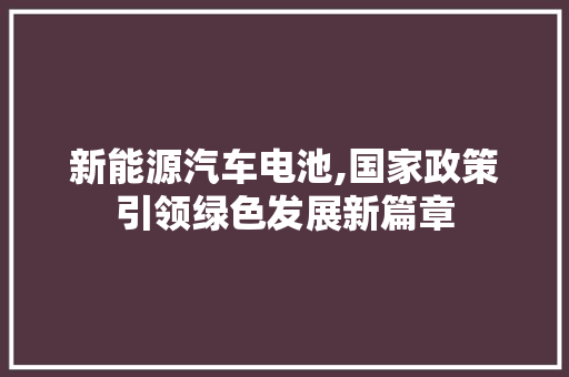 新能源汽车电池,国家政策引领绿色发展新篇章  第1张