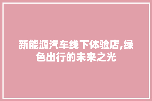 新能源汽车线下体验店,绿色出行的未来之光  第1张