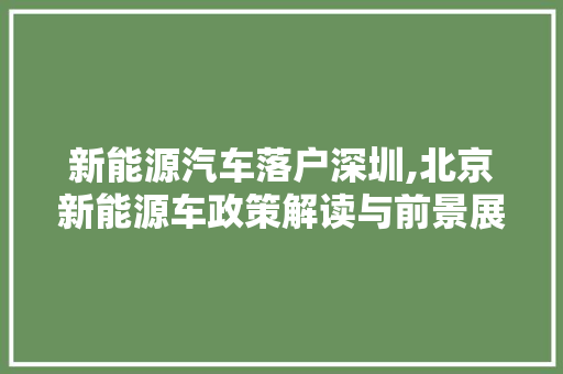 新能源汽车落户深圳,北京新能源车政策解读与前景展望  第1张