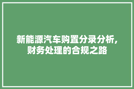 新能源汽车购置分录分析,财务处理的合规之路  第1张