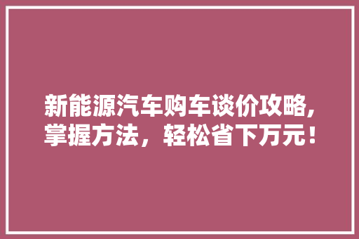 新能源汽车购车谈价攻略,掌握方法，轻松省下万元！  第1张