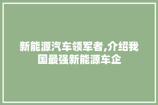 新能源汽车领军者,介绍我国最强新能源车企  第1张