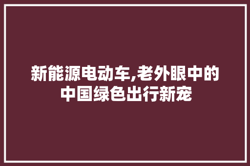 新能源电动车,老外眼中的中国绿色出行新宠  第1张