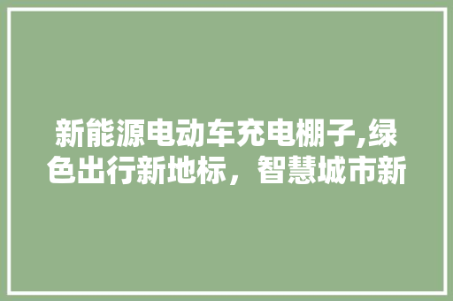 新能源电动车充电棚子,绿色出行新地标，智慧城市新篇章  第1张