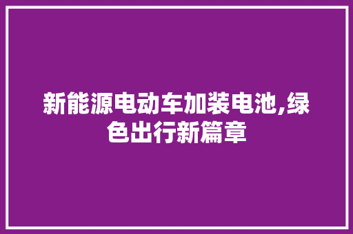 新能源电动车加装电池,绿色出行新篇章