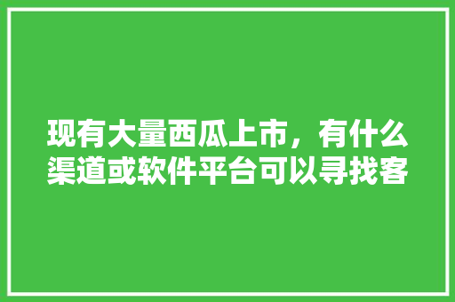 现有大量西瓜上市，有什么渠道或软件平台可以寻找客商，谢谢，朔州紫荆山旅游景点开发。  第1张