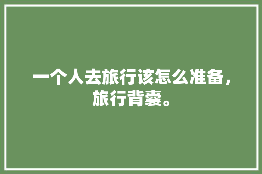 一个人去旅行该怎么准备，旅行背囊。