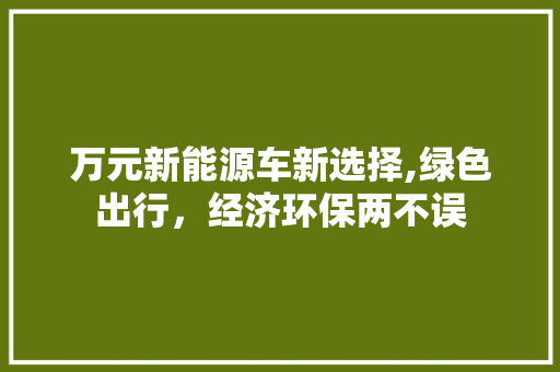万元新能源车新选择,绿色出行，经济环保两不误  第1张