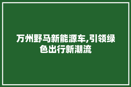 万州野马新能源车,引领绿色出行新潮流