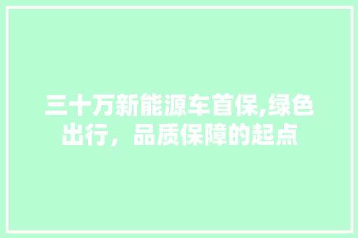 三十万新能源车首保,绿色出行，品质保障的起点