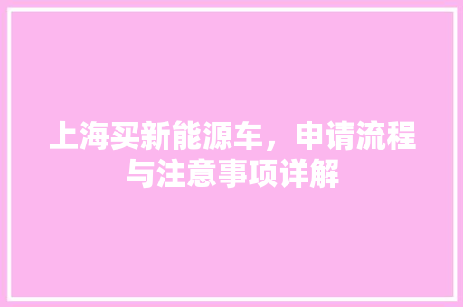 上海买新能源车，申请流程与注意事项详解