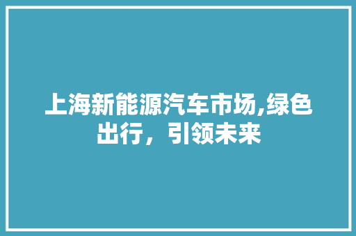 上海新能源汽车市场,绿色出行，引领未来  第1张