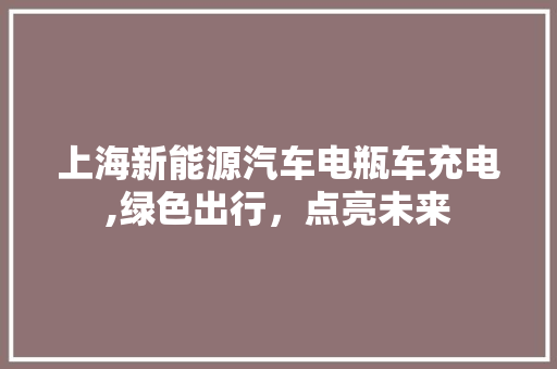 上海新能源汽车电瓶车充电,绿色出行，点亮未来  第1张