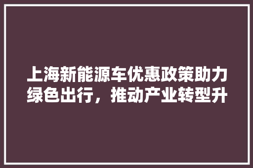 上海新能源车优惠政策助力绿色出行，推动产业转型升级  第1张