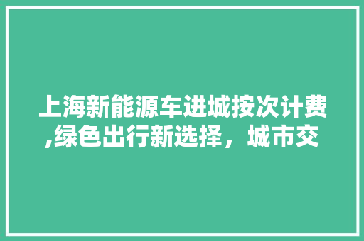 上海新能源车进城按次计费,绿色出行新选择，城市交通新篇章  第1张