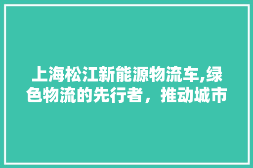 上海松江新能源物流车,绿色物流的先行者，推动城市可持续发展  第1张