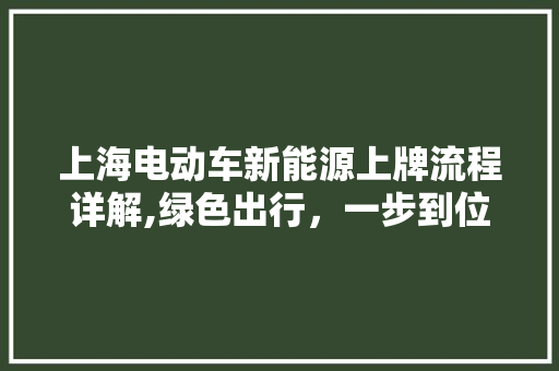 上海电动车新能源上牌流程详解,绿色出行，一步到位  第1张