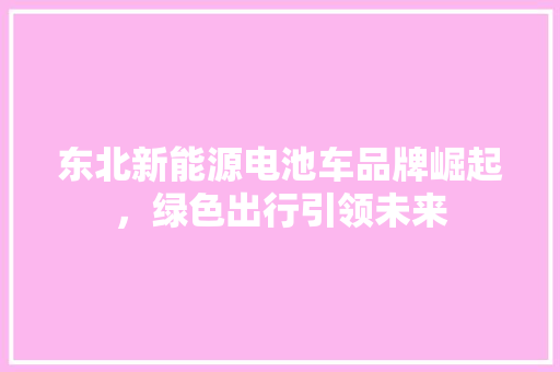 东北新能源电池车品牌崛起，绿色出行引领未来