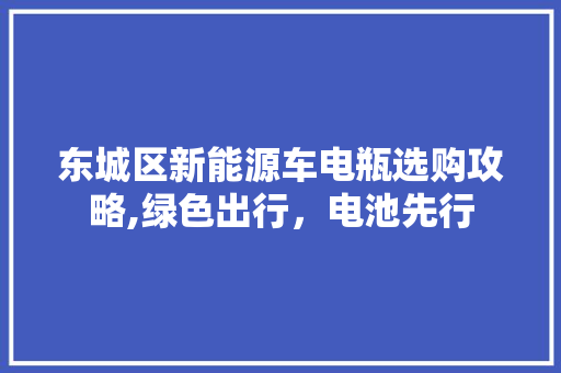 东城区新能源车电瓶选购攻略,绿色出行，电池先行  第1张