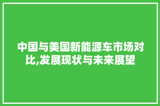 中国与美国新能源车市场对比,发展现状与未来展望  第1张