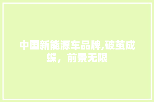 中国新能源车品牌,破茧成蝶，前景无限  第1张