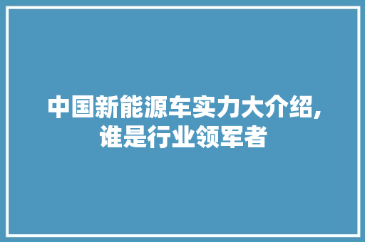 中国新能源车实力大介绍,谁是行业领军者  第1张