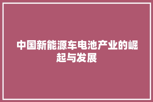 中国新能源车电池产业的崛起与发展  第1张
