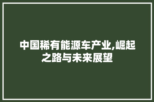 中国稀有能源车产业,崛起之路与未来展望