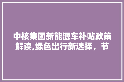中核集团新能源车补贴政策解读,绿色出行新选择，节能环保再升级  第1张