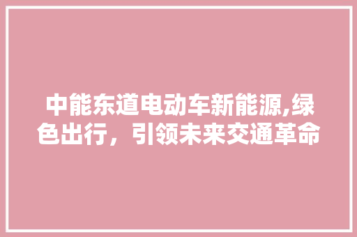 中能东道电动车新能源,绿色出行，引领未来交通革命  第1张