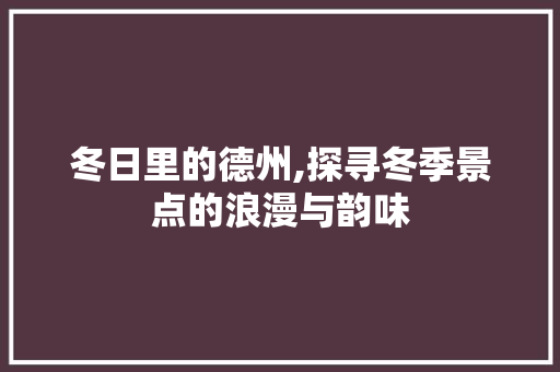 冬日里的德州,探寻冬季景点的浪漫与韵味