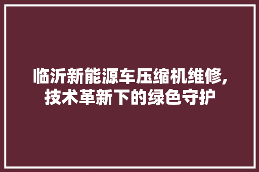 临沂新能源车压缩机维修,技术革新下的绿色守护